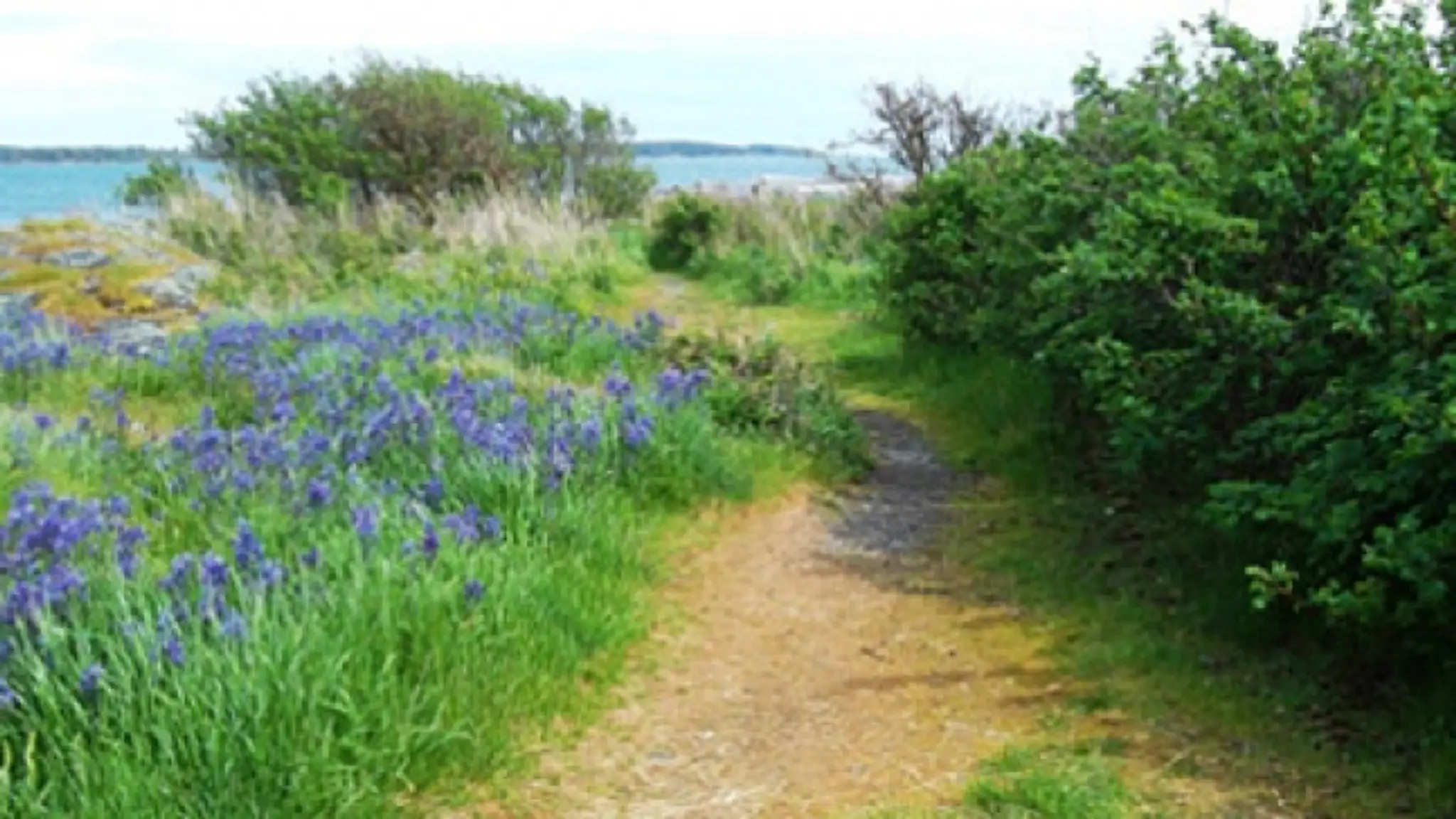 Oak Bay Recreation Centre