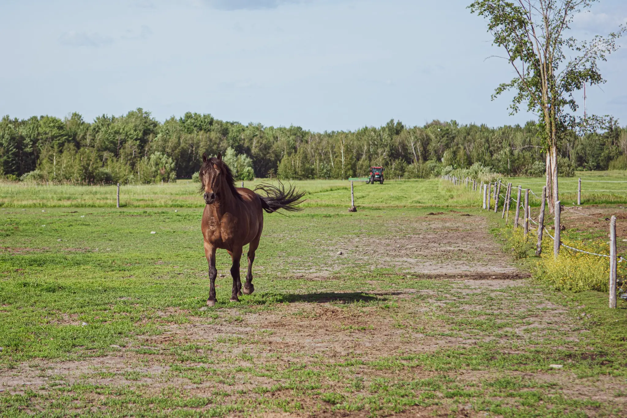 curie de la Vieille Maison
