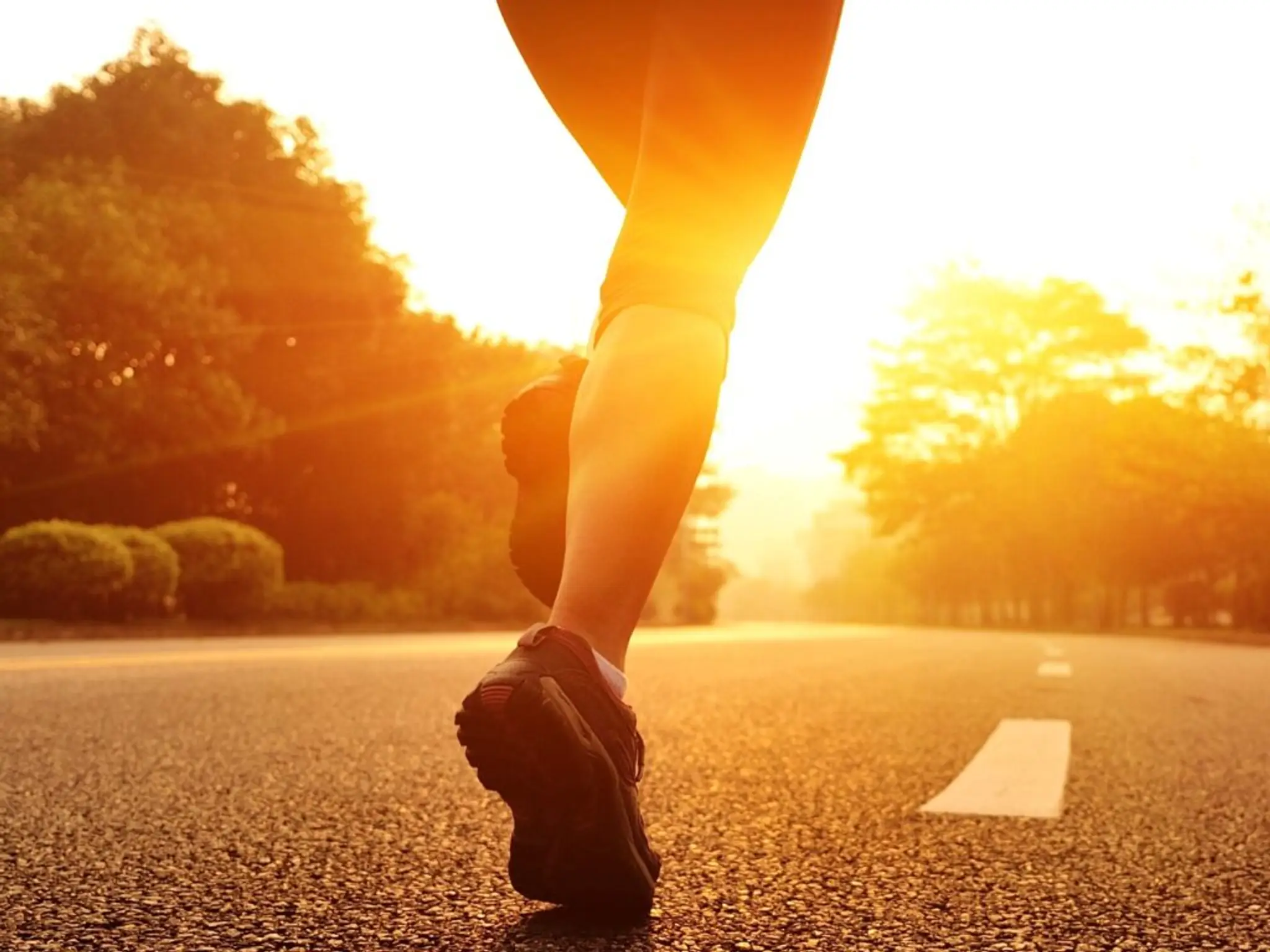 Outdoor Olympia Bootcamp