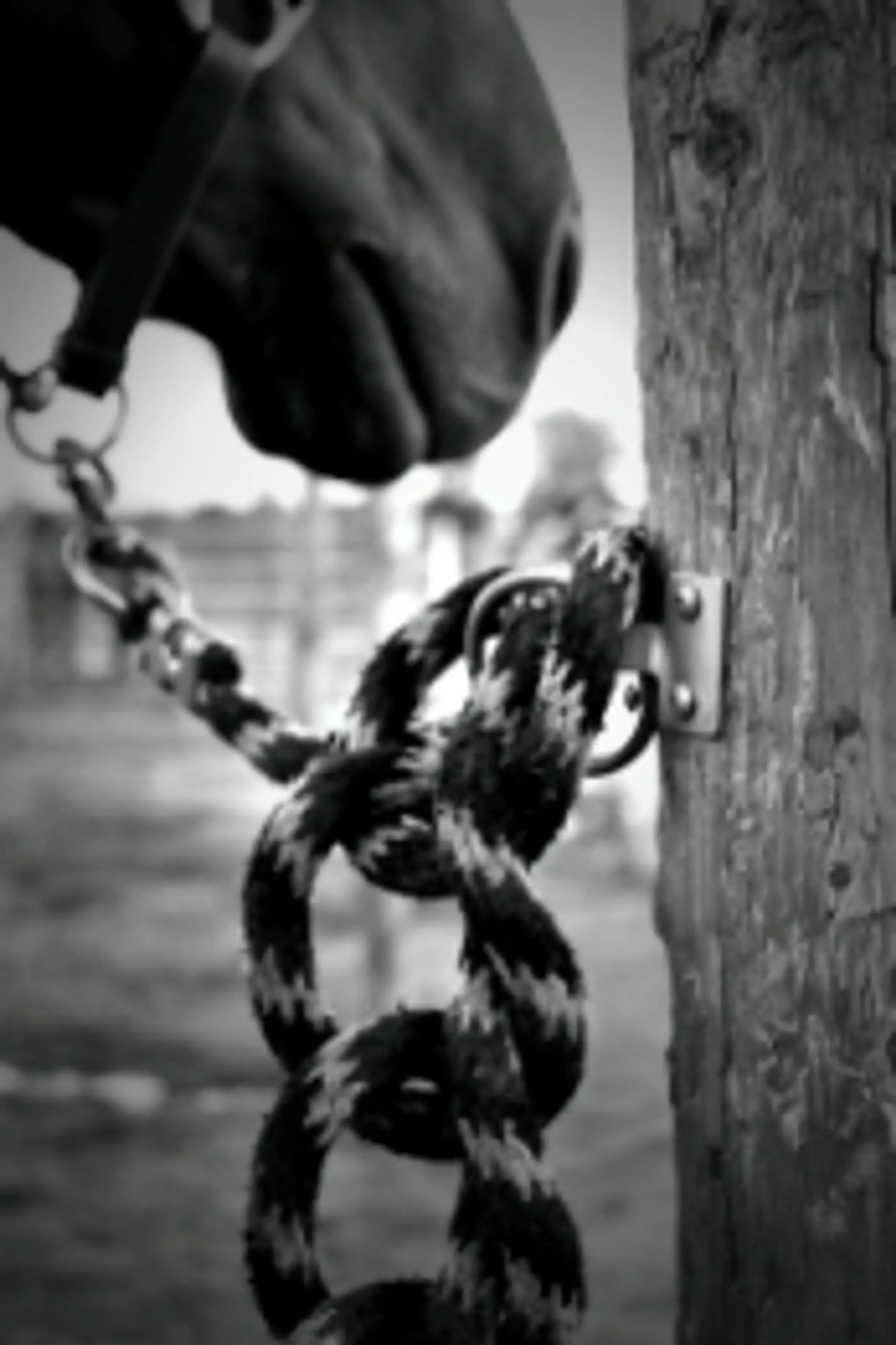 Sudbury Therapeutic Riding Program