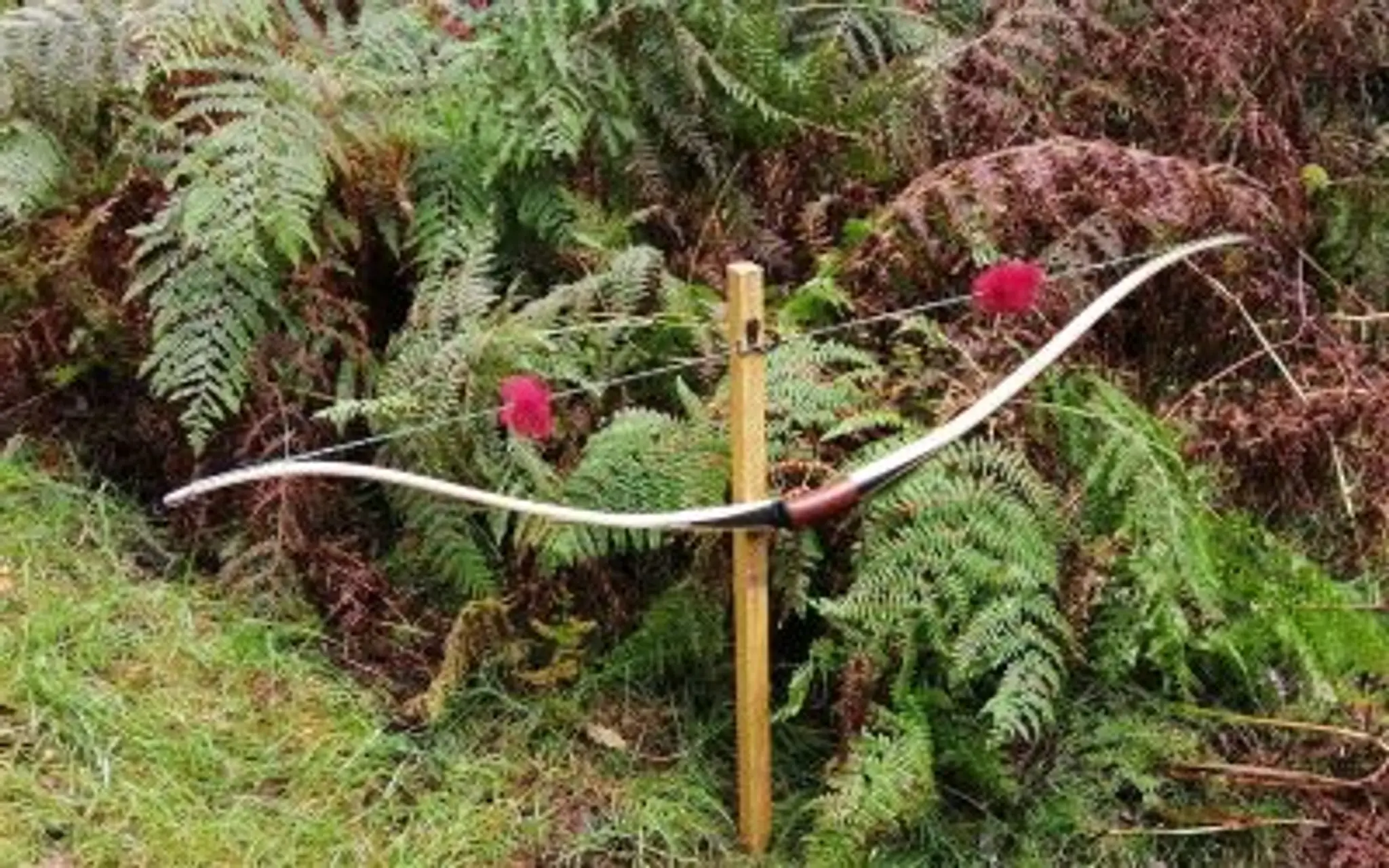 Bowbearers of Wyresdale