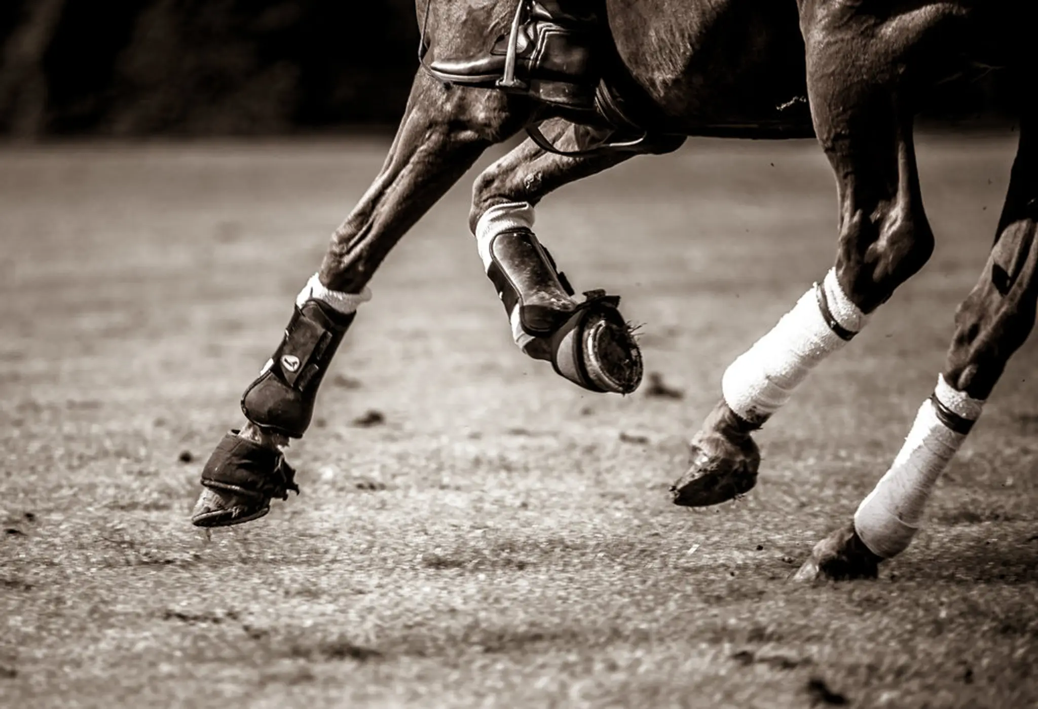 Moor Hall Farm Polo Club