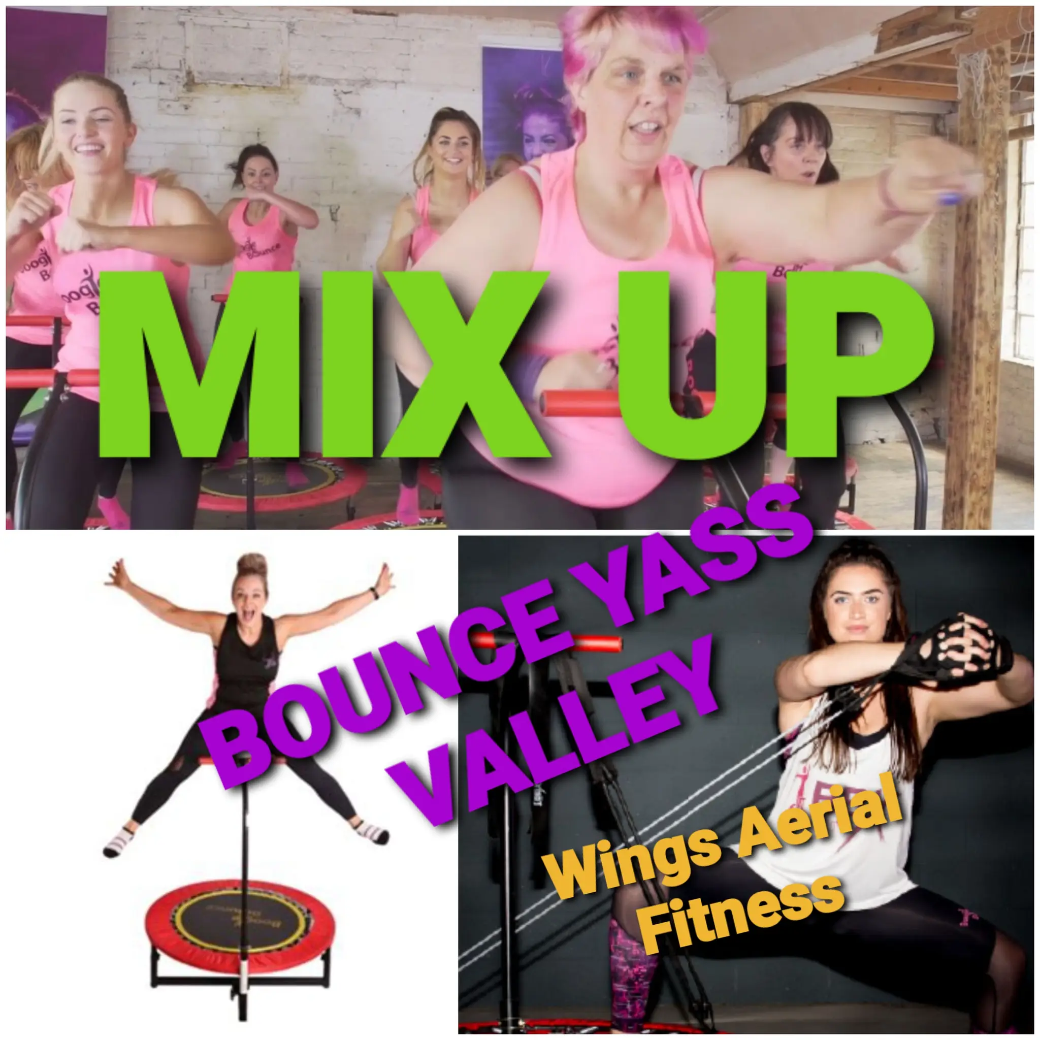 Wings Aerial Fitness
