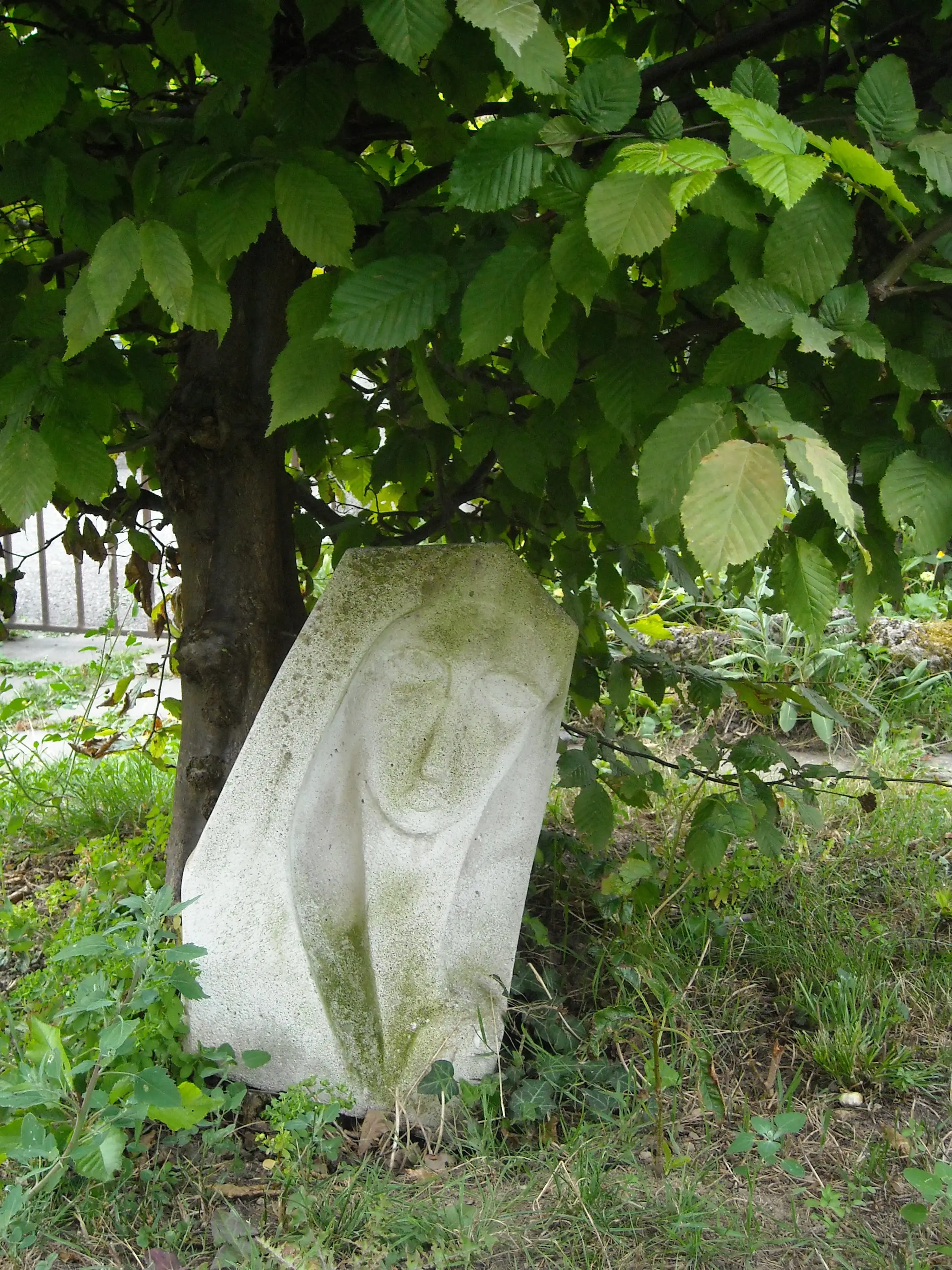 cole Traditionnelle de Yoga, Anouk Thibault