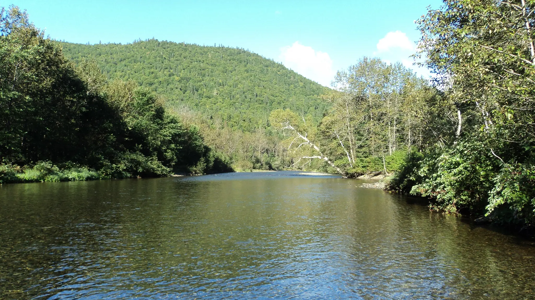 Socit de Restauration et de Gestion de la Nouvelle Inc