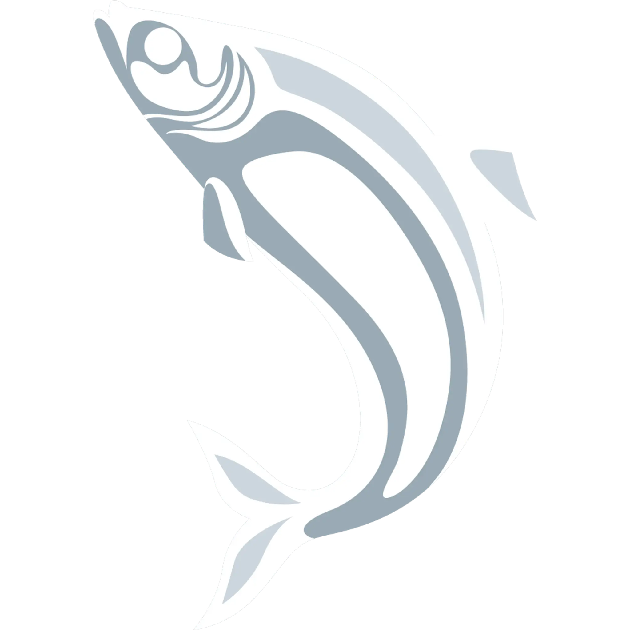 Wild Frontier Charters