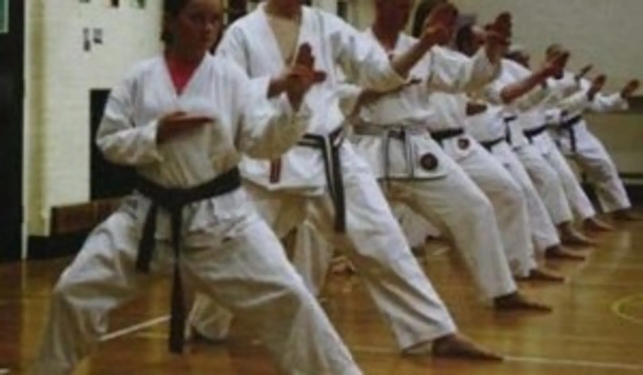 Buntingford Shotokan Karate Club