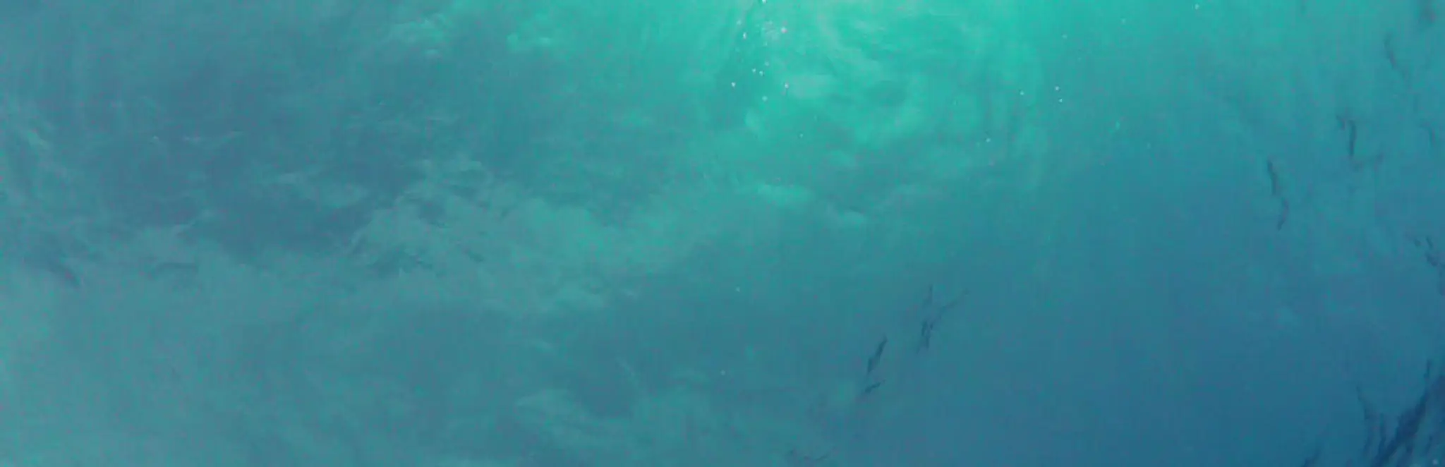 Hereford Sub Aqua Club