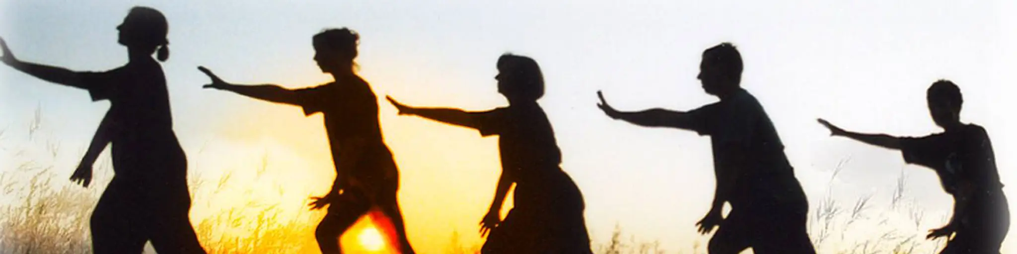 Taoist Tai Chi Society of QLD