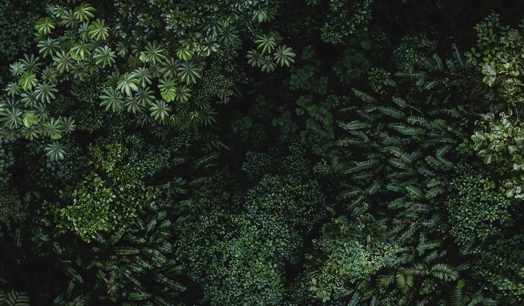 Rich Levy Performance