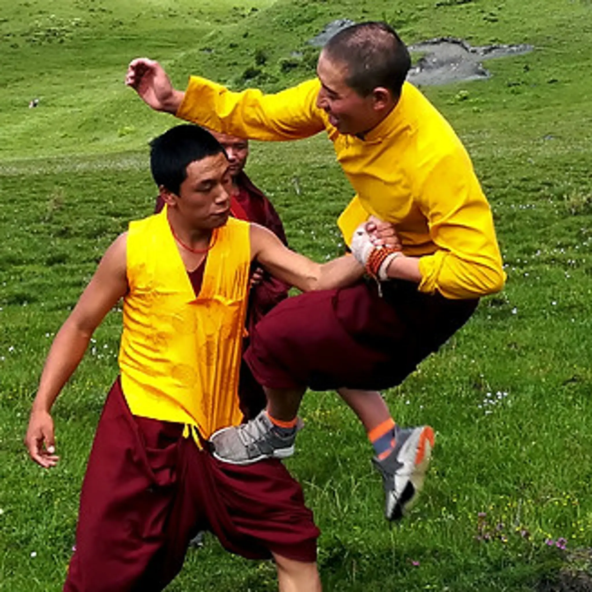 School L'ours Blanc Kung-Fu / Qi-Qong À Marguerittes Et La Grande-Motte