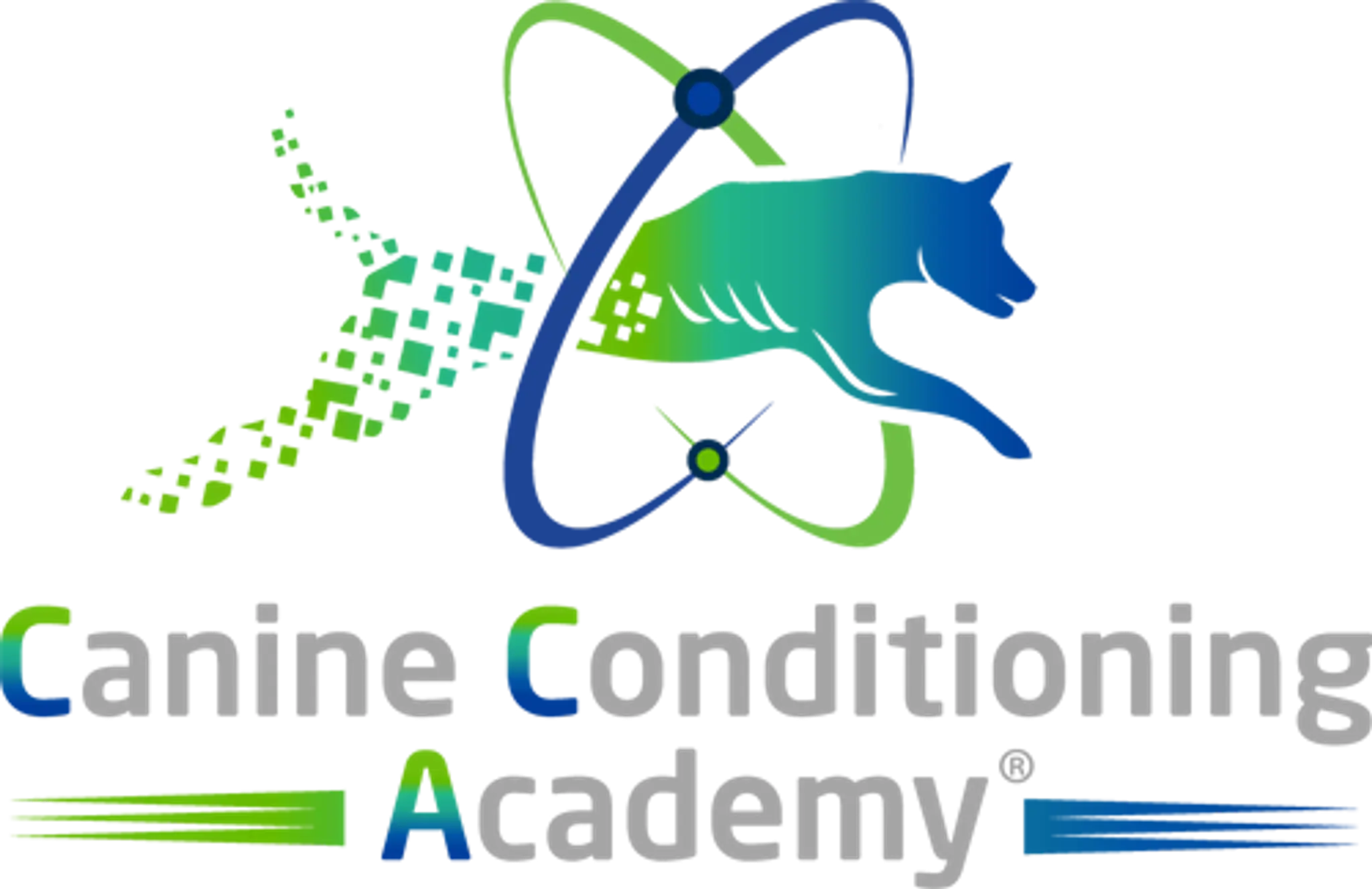Canine Conditioning Academy