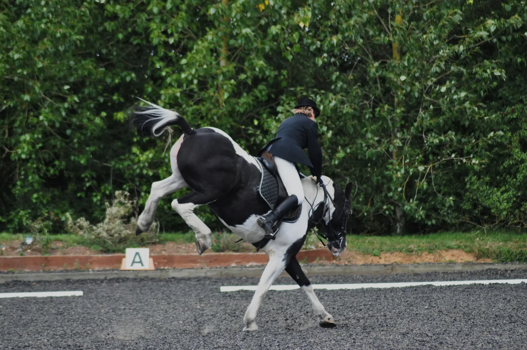 Wellbeck Farm & Equestrian Centre