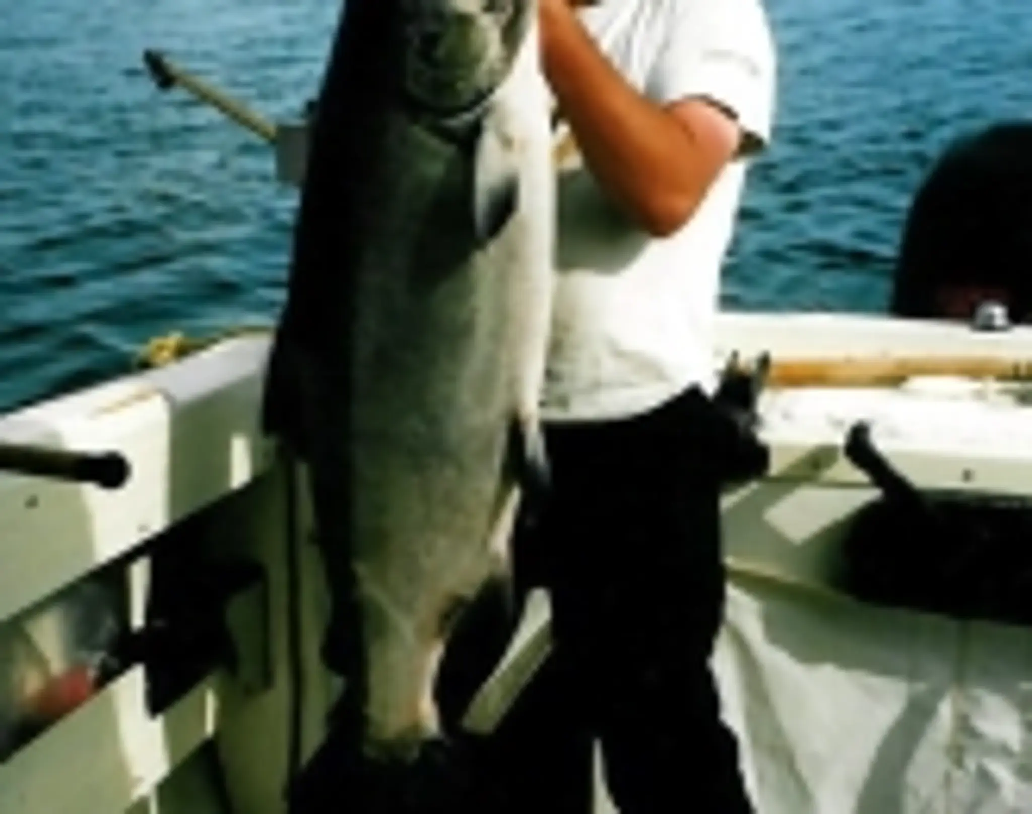 Fishmyster Sport Fishing Adventures