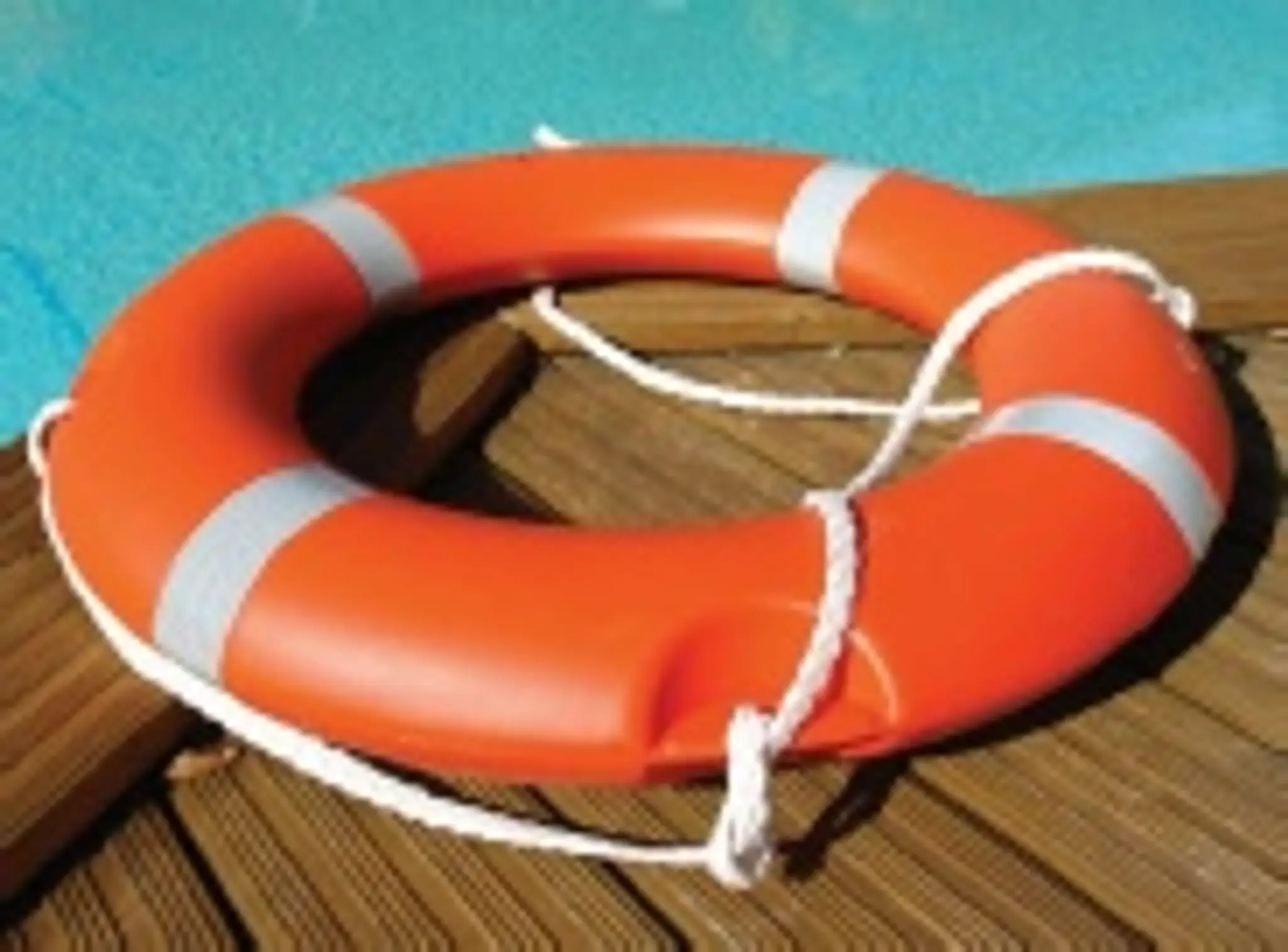 abingdon dolphins swimming club