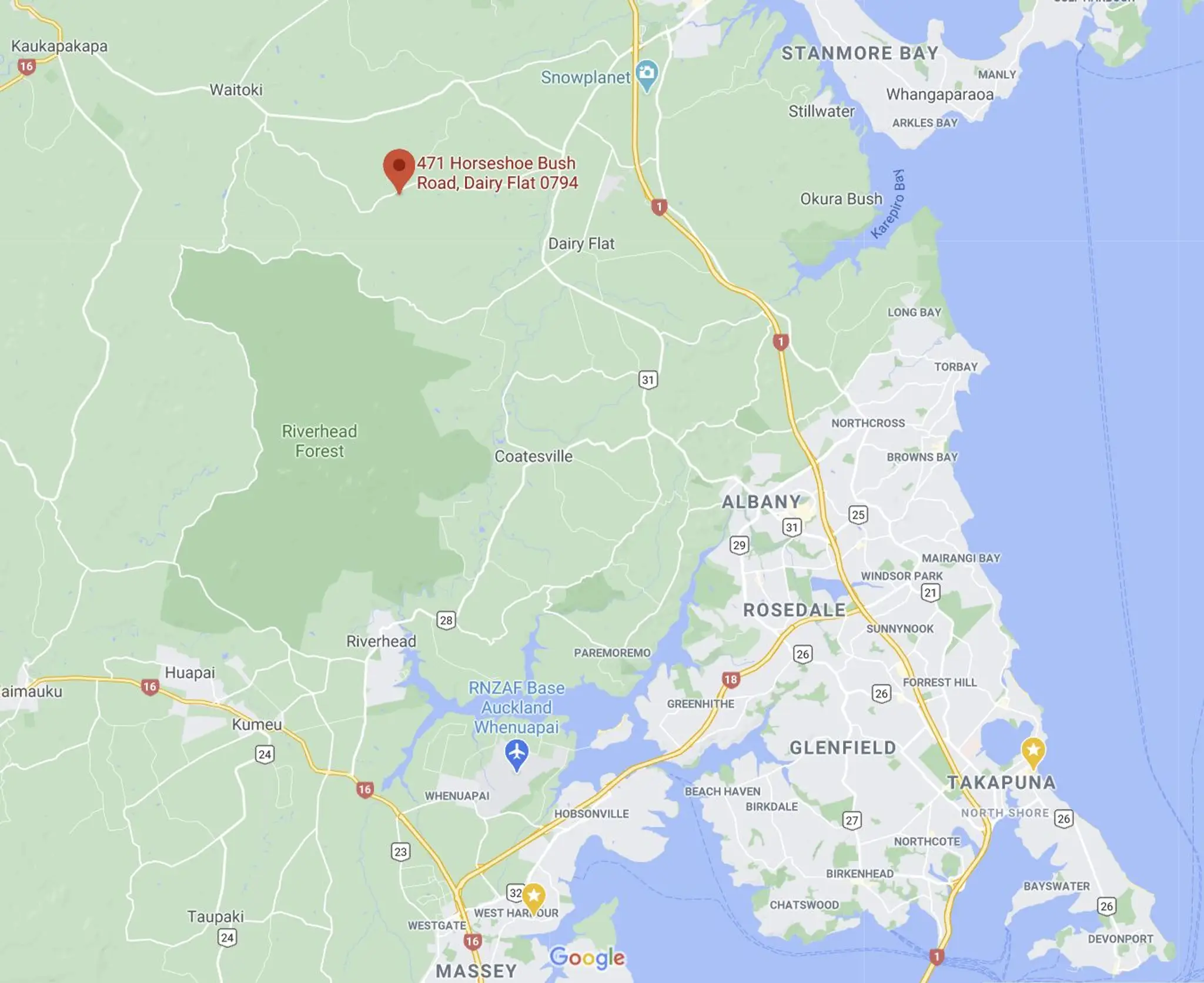 Auckland Equestrian Centre | horse riding lessons