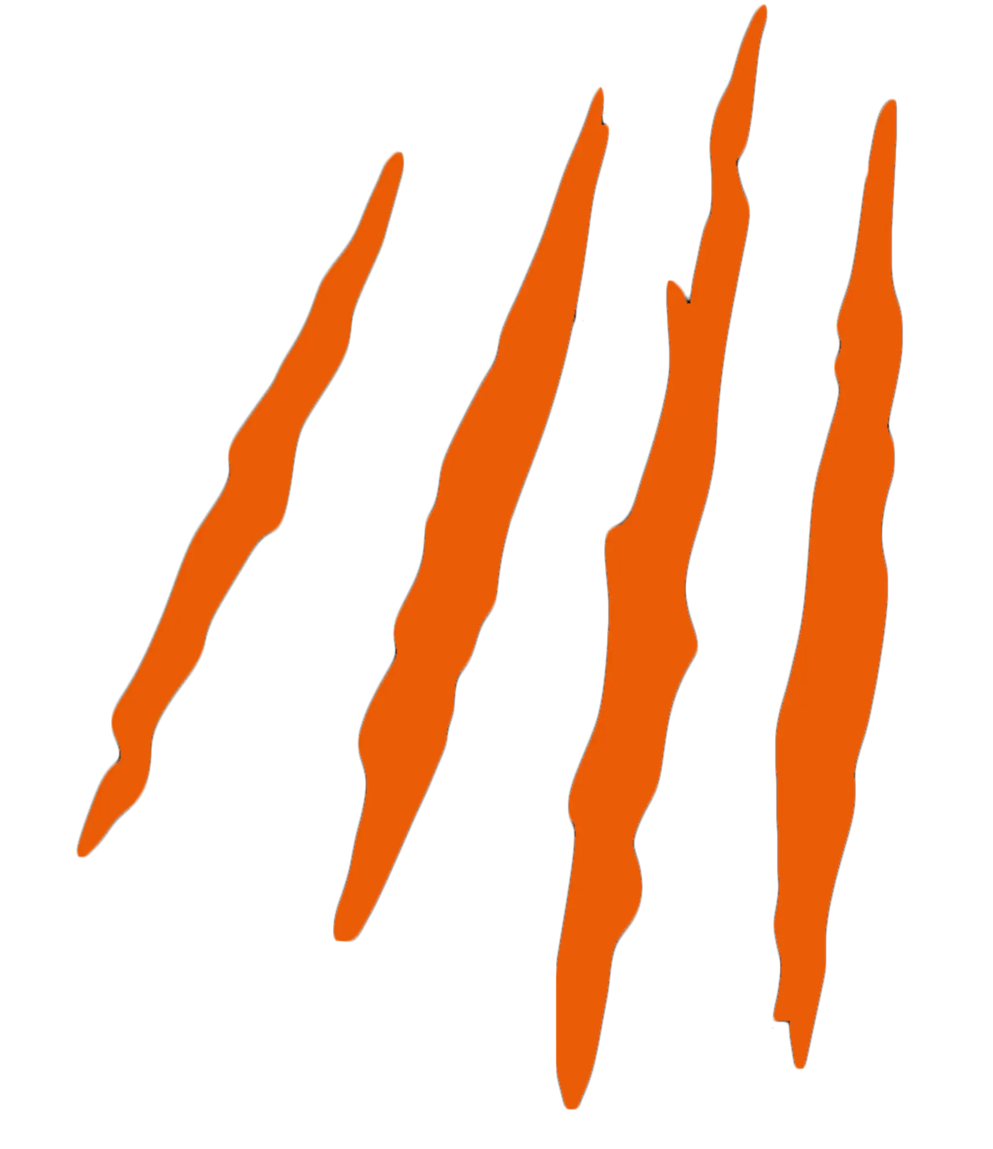 PT Workspace Islington Personal Training