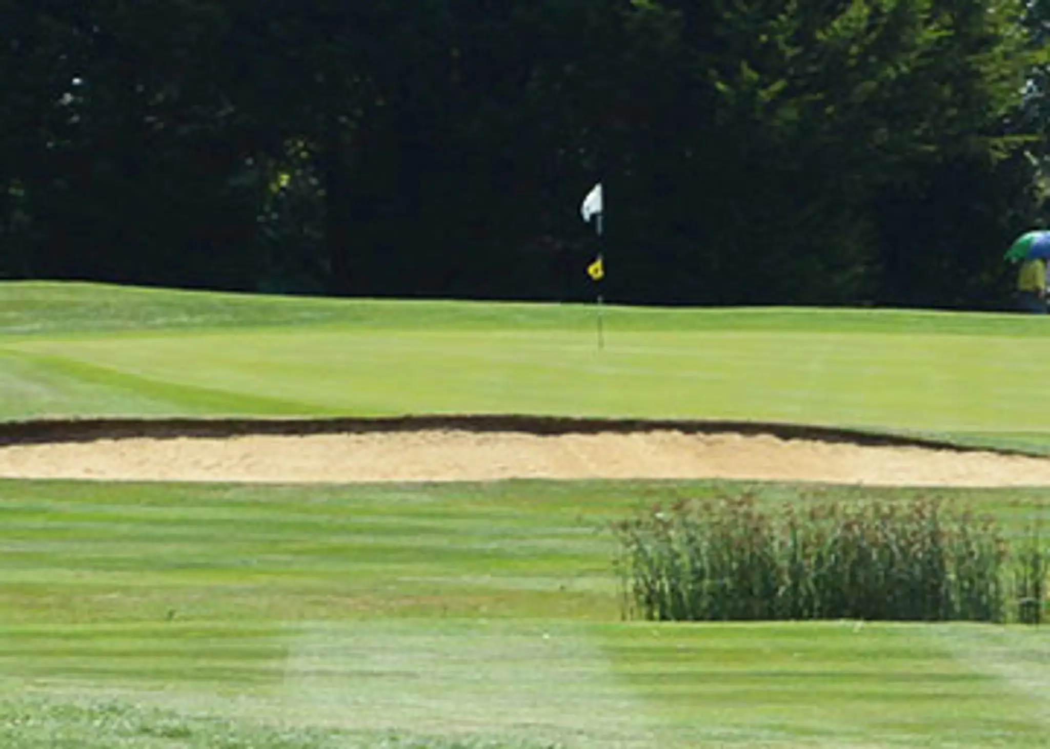 Drayton Park Golf Club