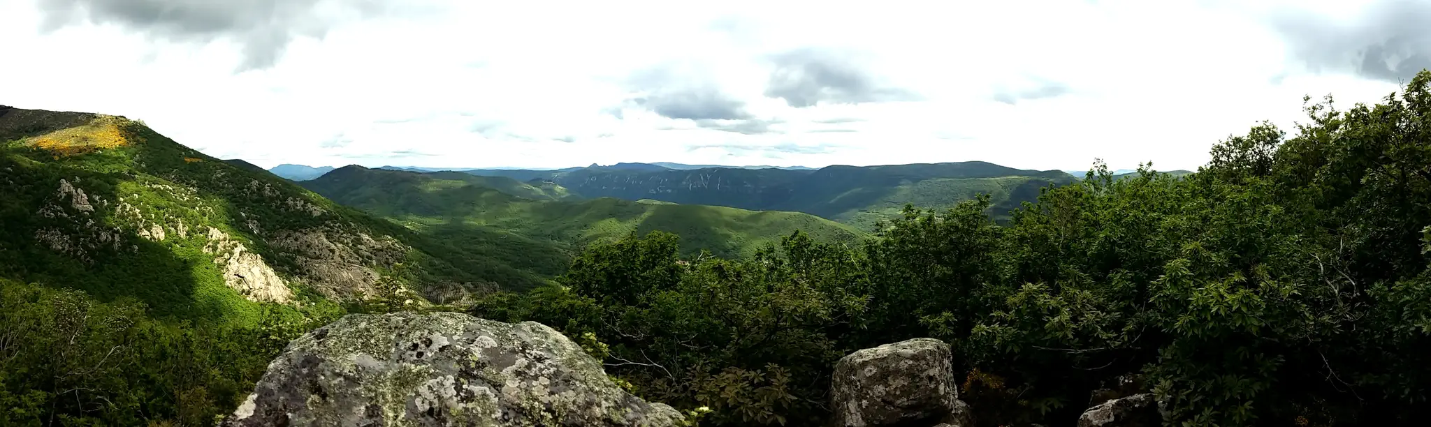 Aigoual Pleine Nature