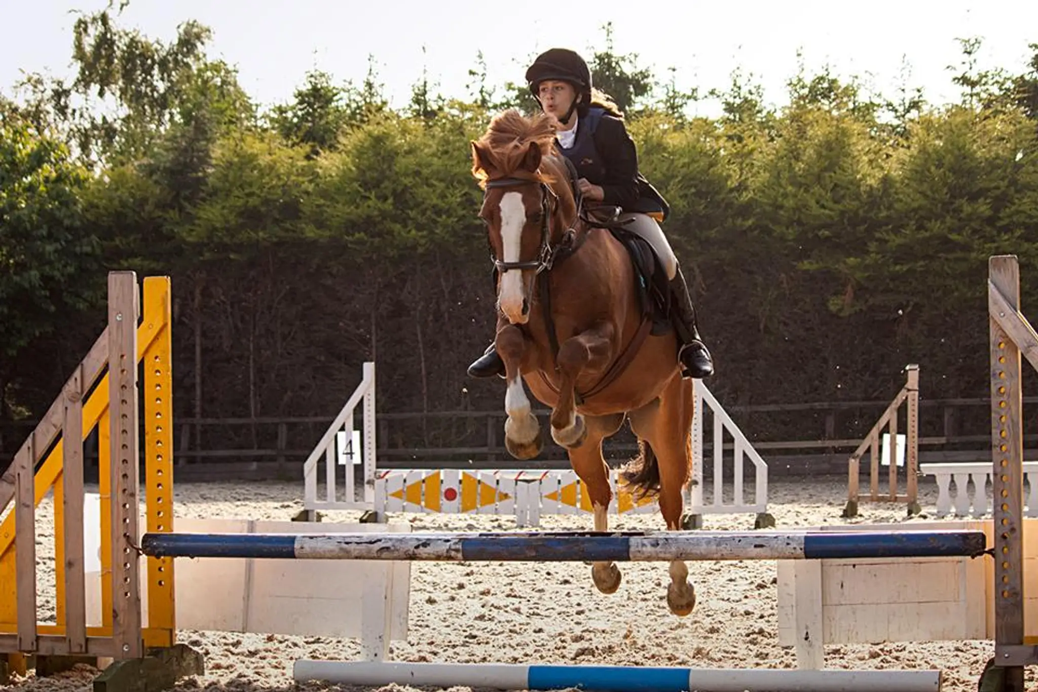 GoHorseRiding