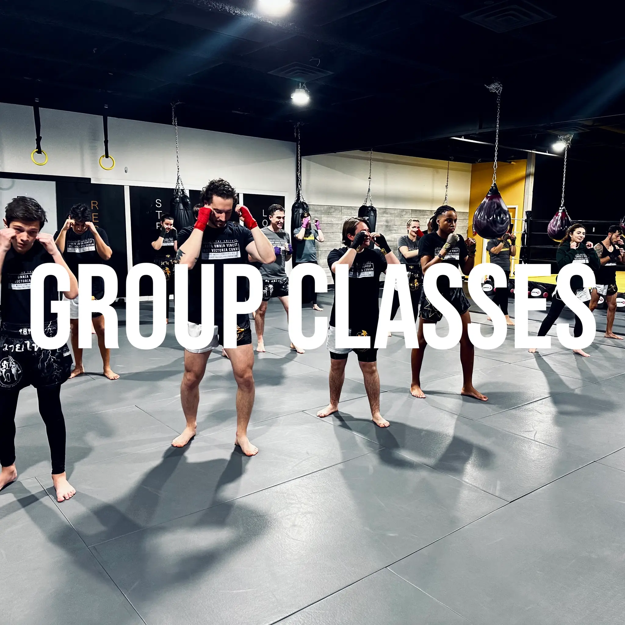 Art Of 8 Martial Arts Academy