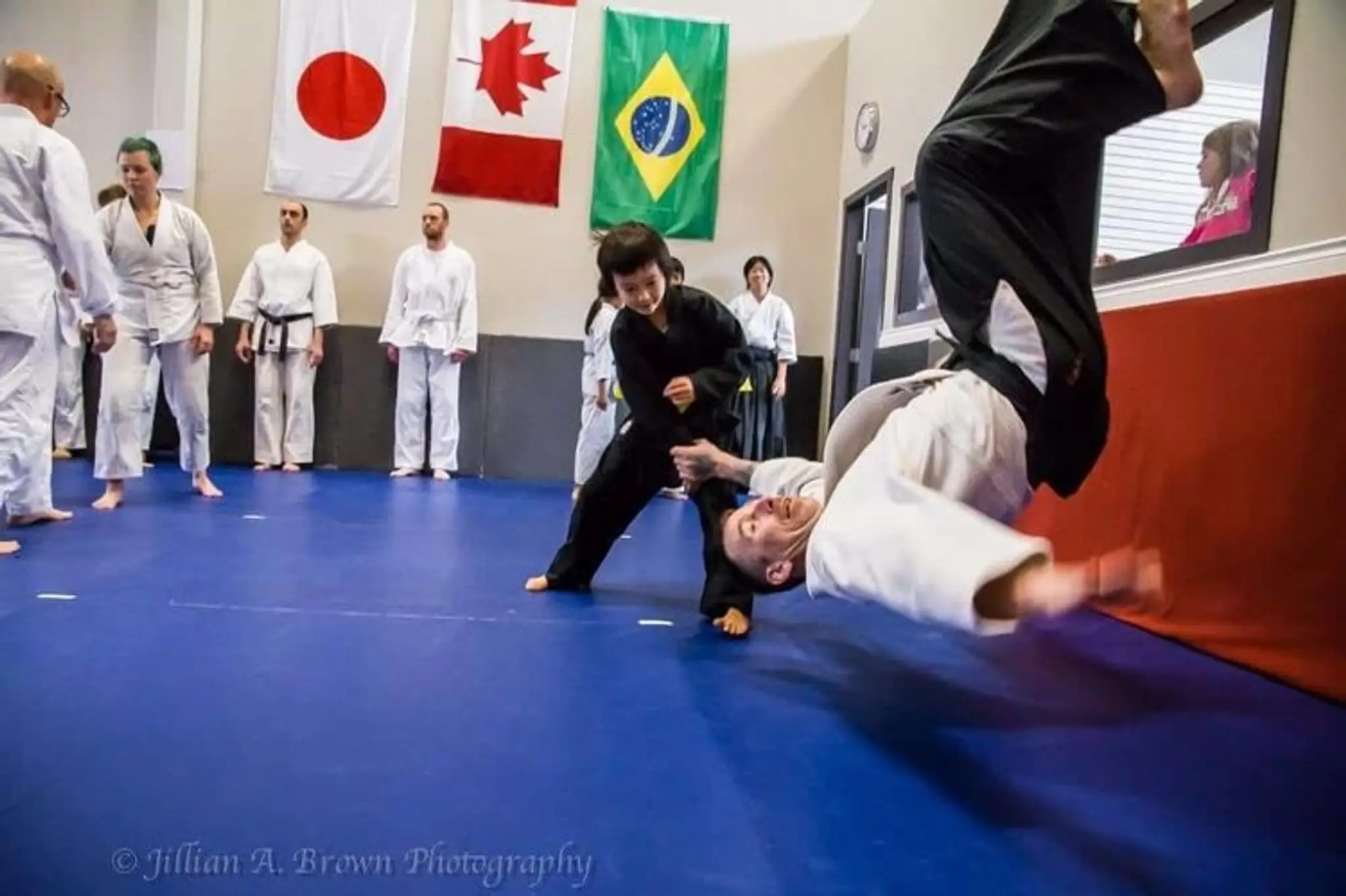 Aikidaily International Academy