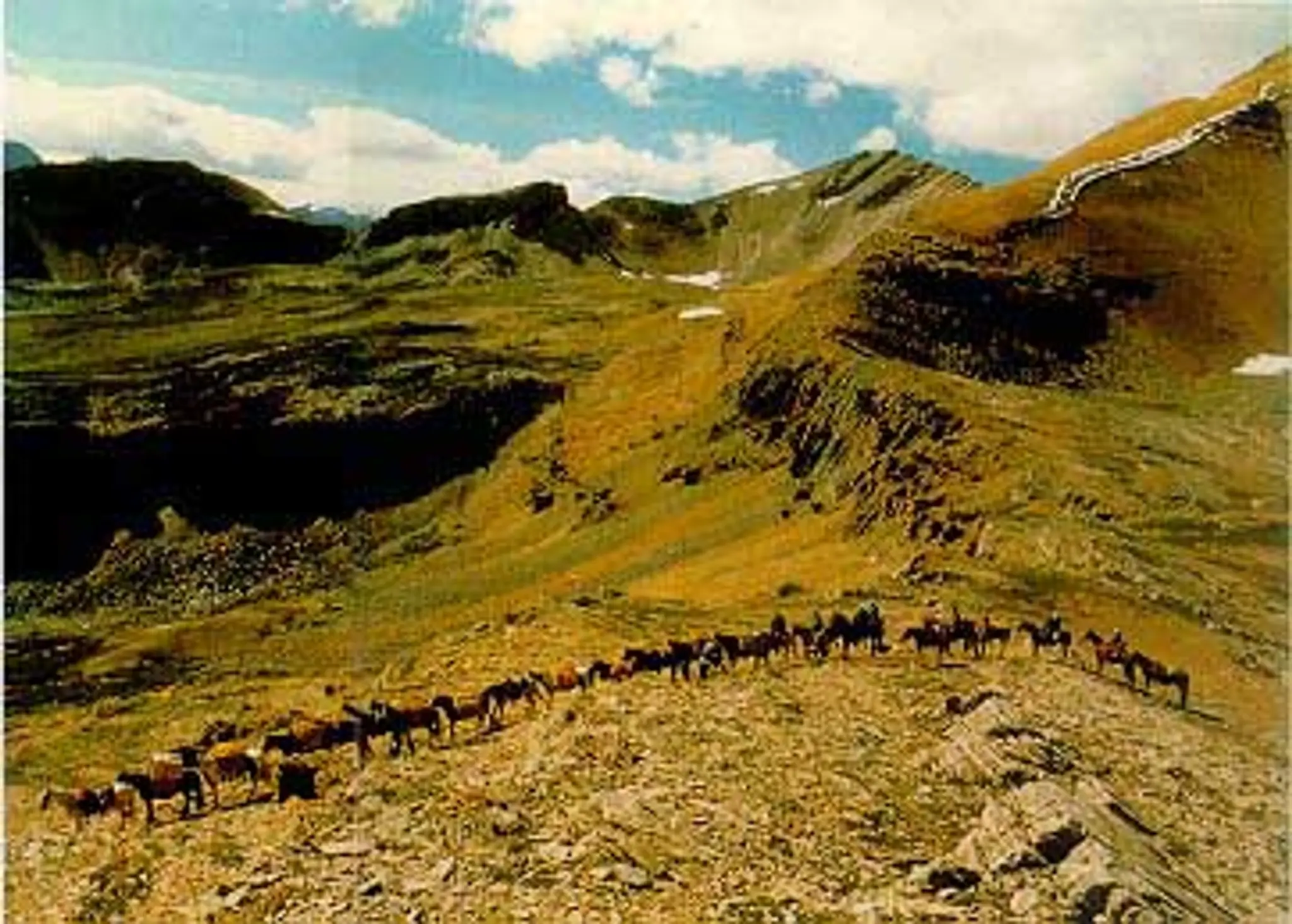 Timberline Tours Ltd