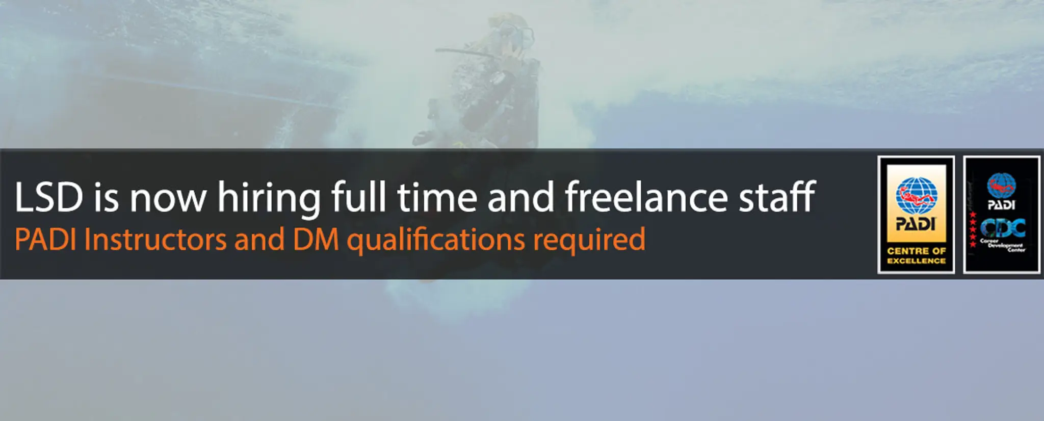 London School of Diving