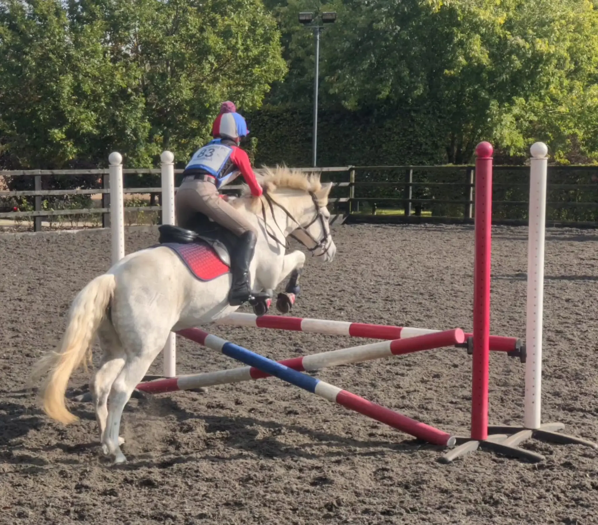 Chiddingfold Pony Club