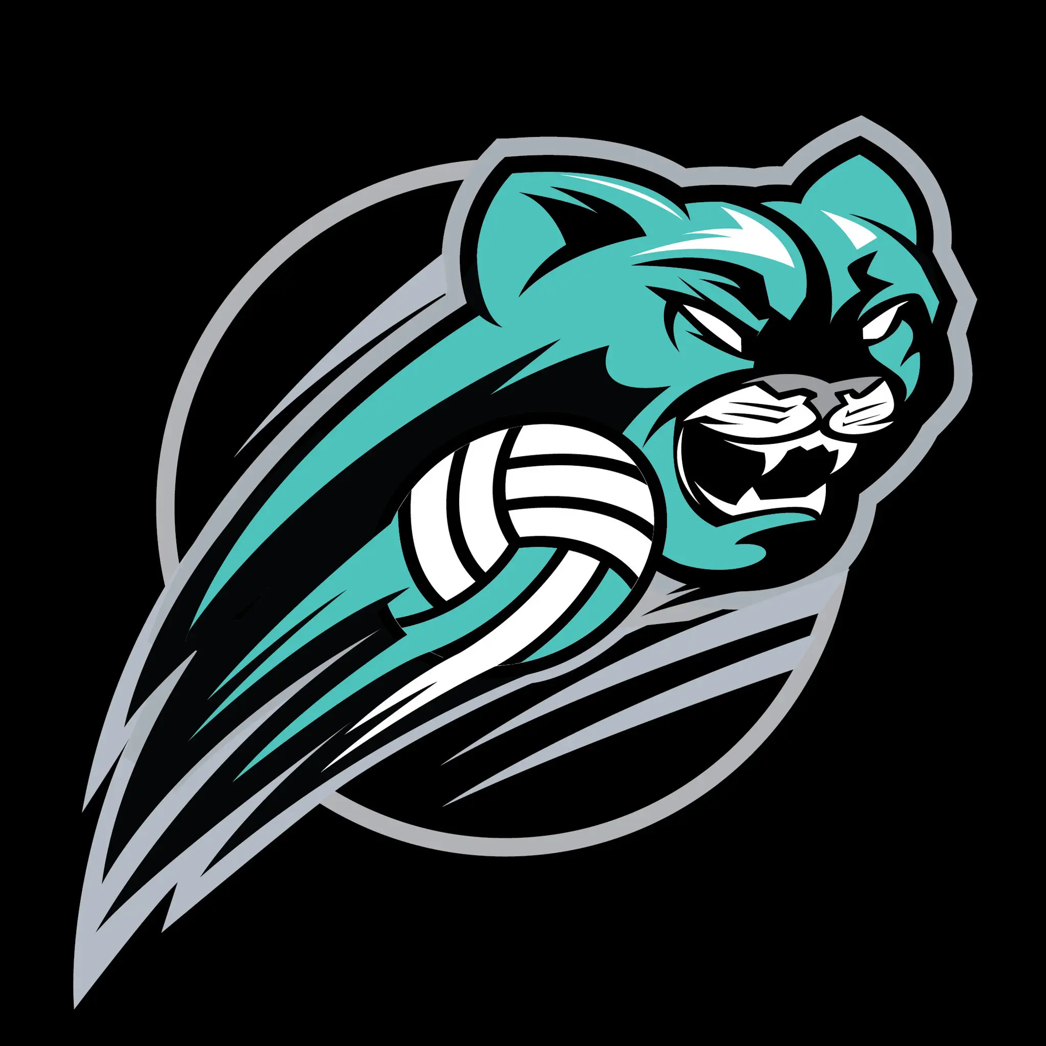 Catalyst Initiative Athletic Club