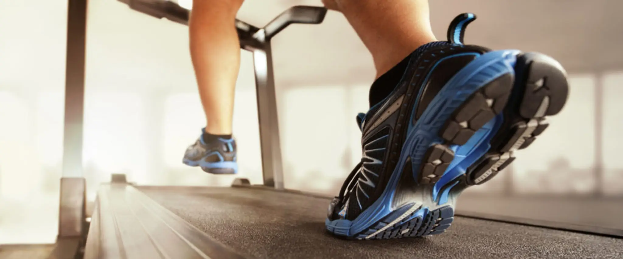 Fitness World NZ Limited