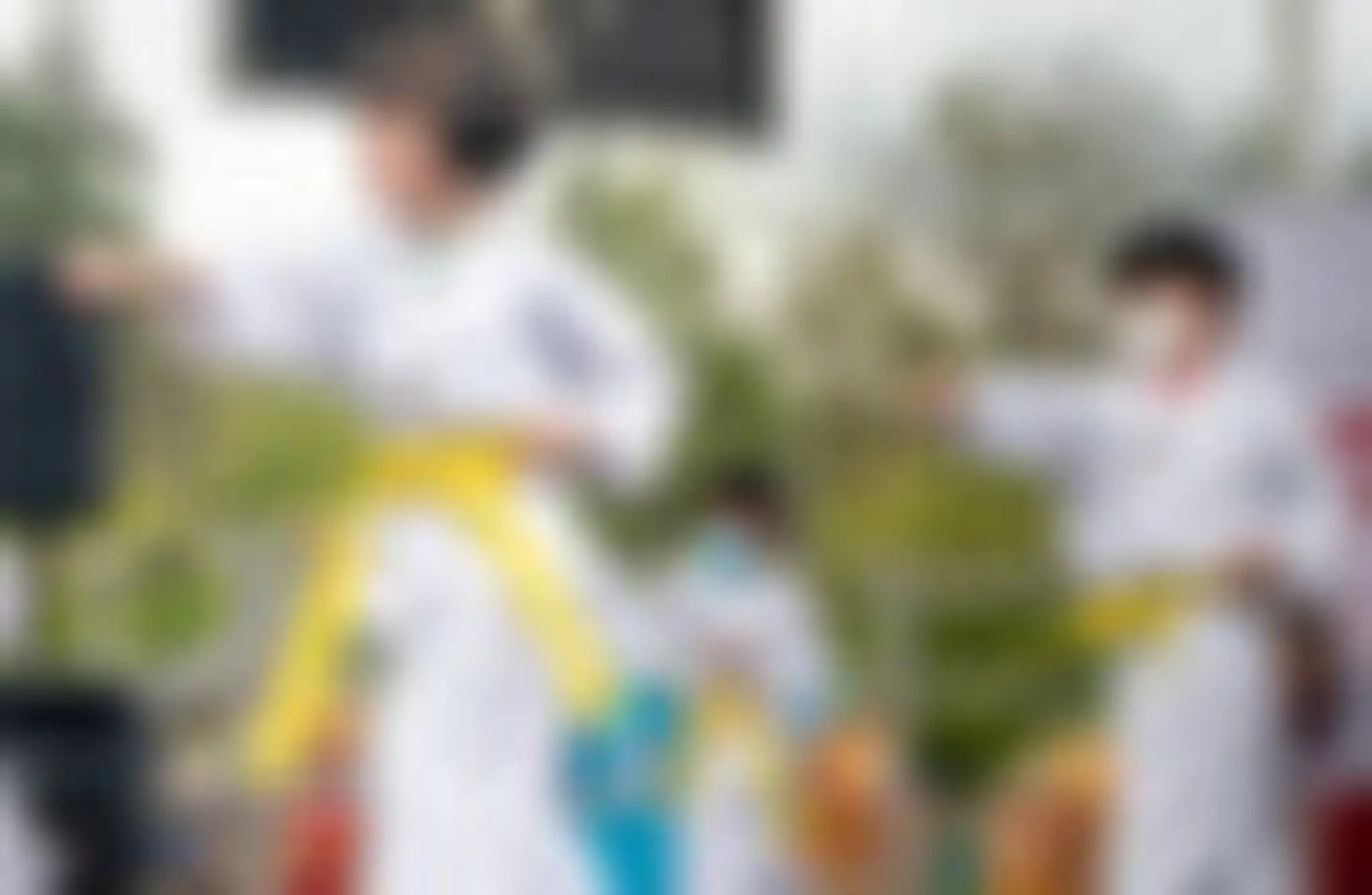 Wu's Taekwondo School