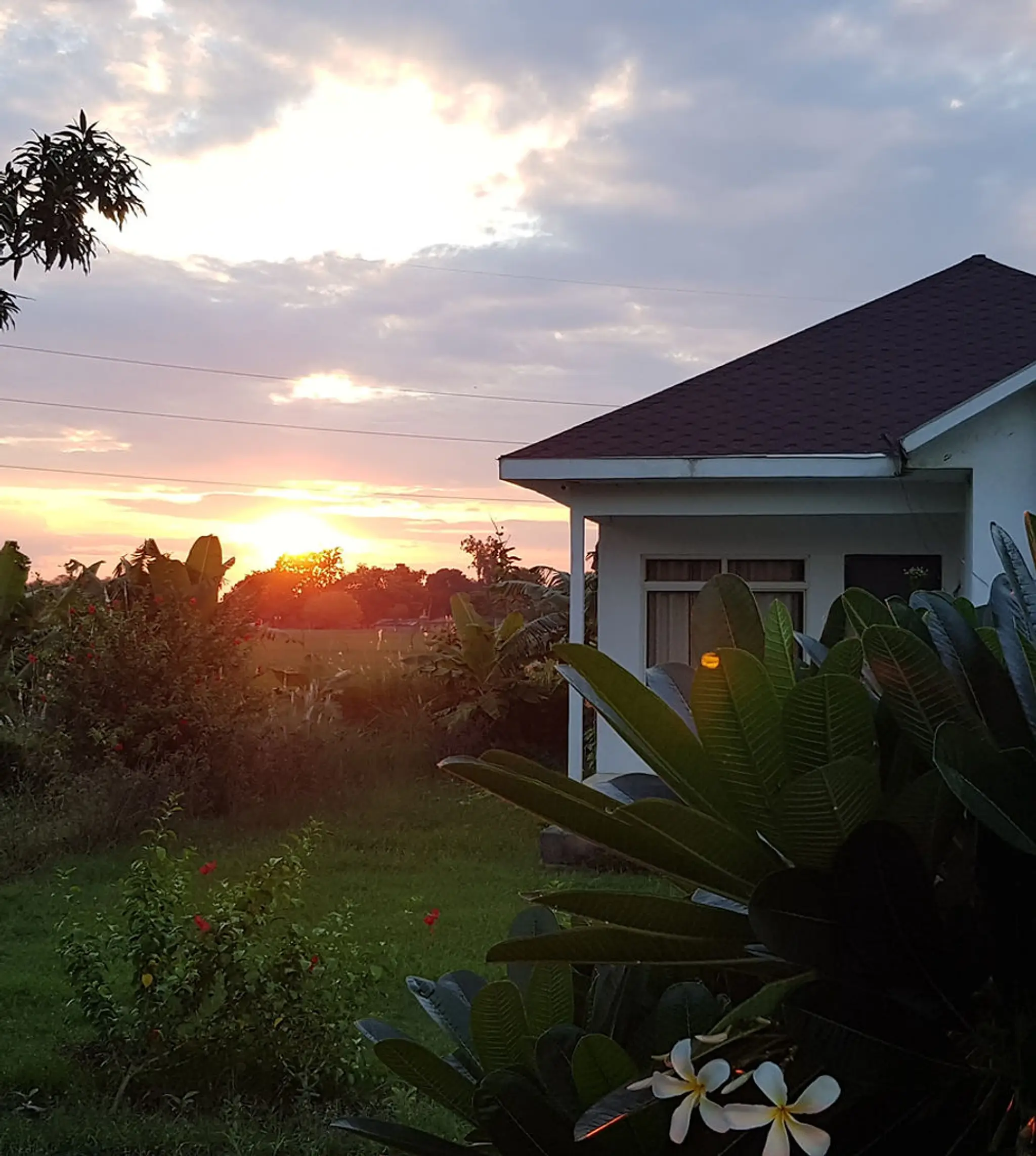 Living Green Farms