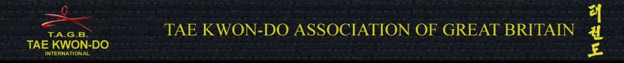 Amesbury Tae Kwon Do (TAGB)