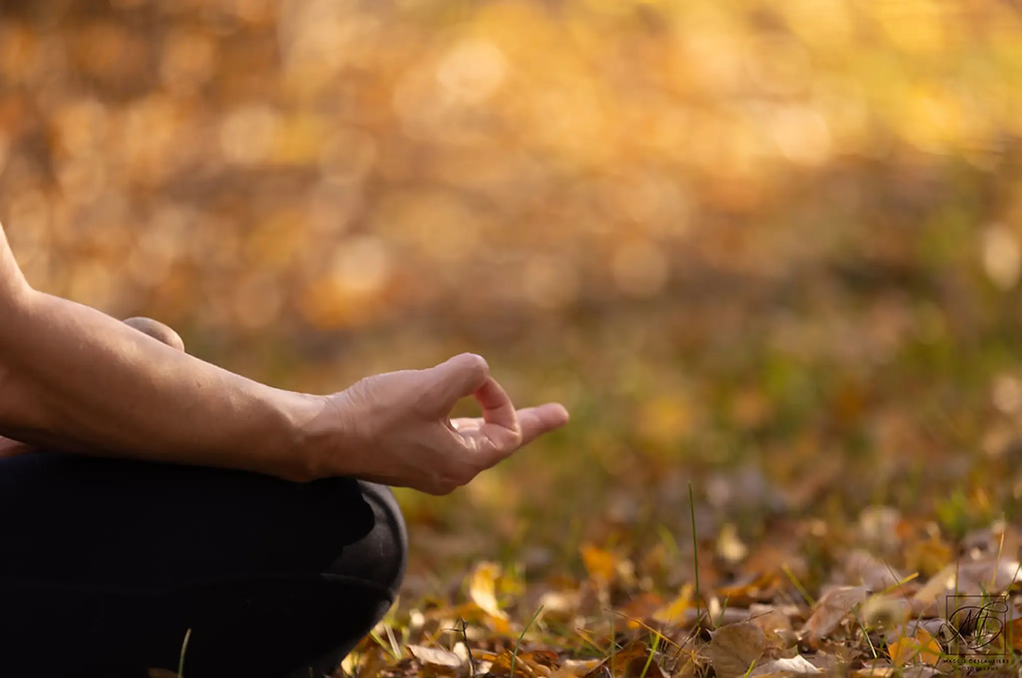 DTOUCH THERAPY & YOGA