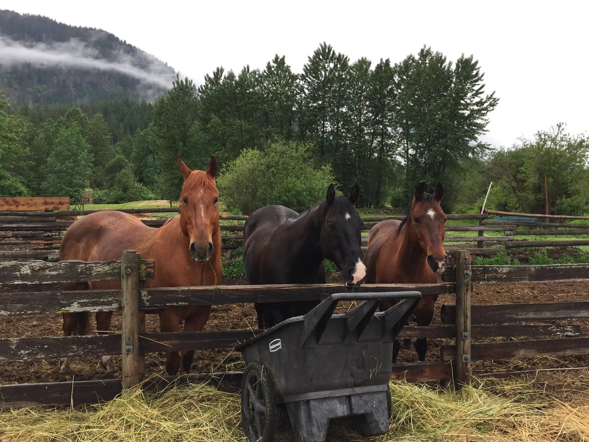 Adventures On Horseback