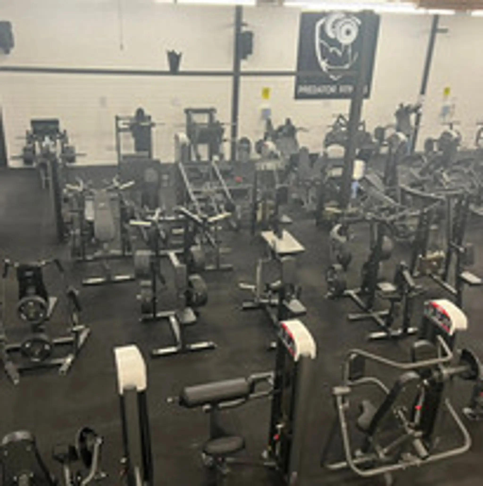Predator Fitness