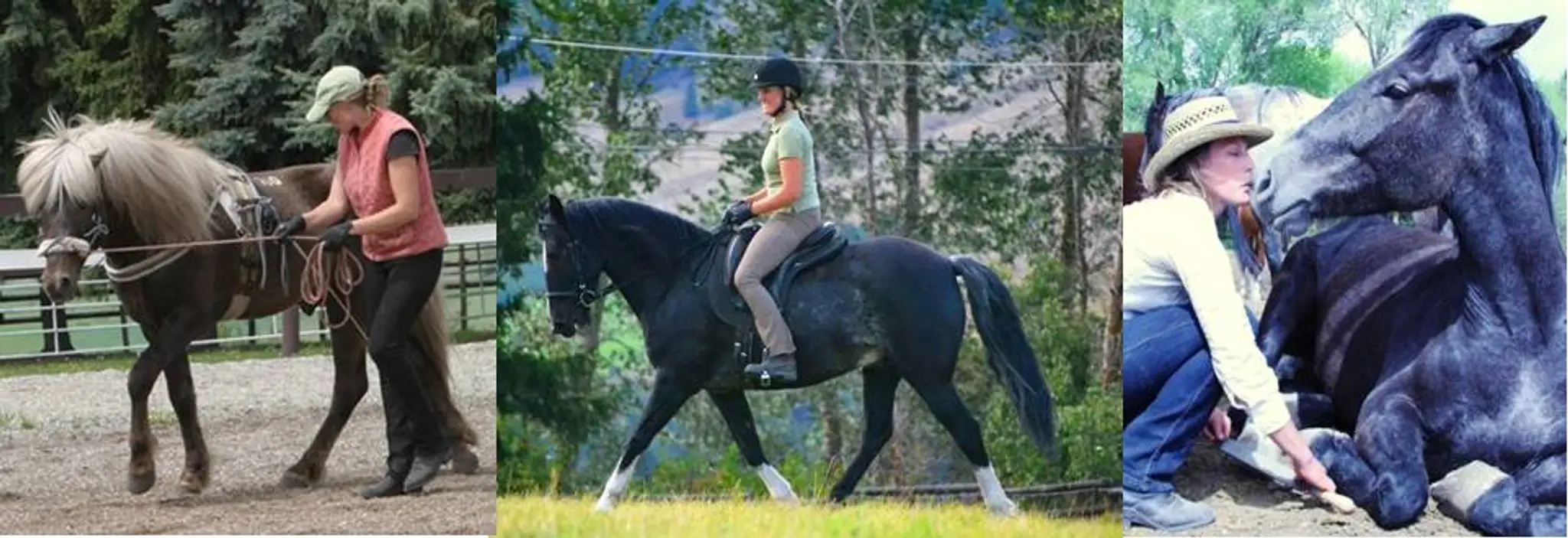 In Touch With Your Horse