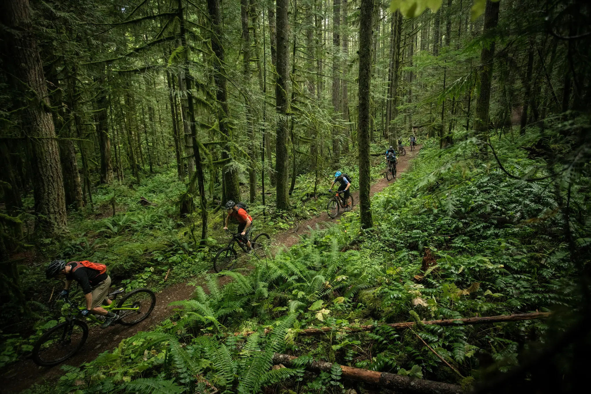 Cumberland Skate Park
