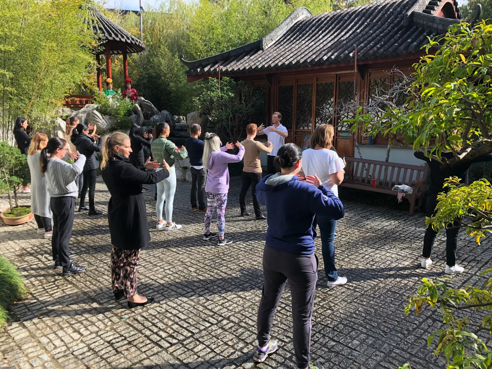 Dragonfly Qigong