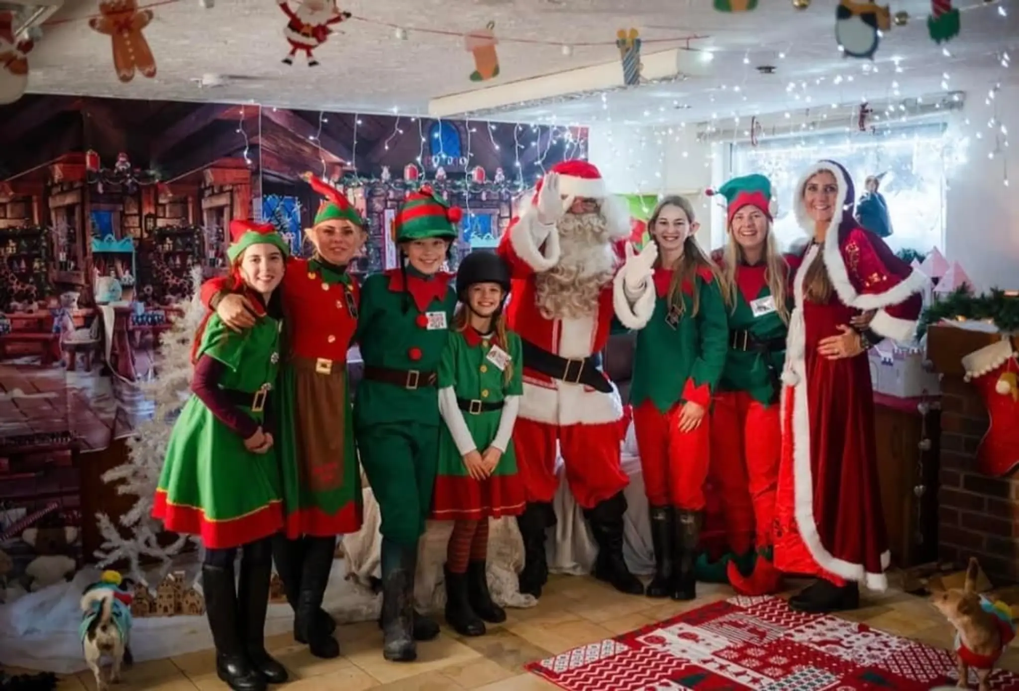 Ampfield Riding Stables