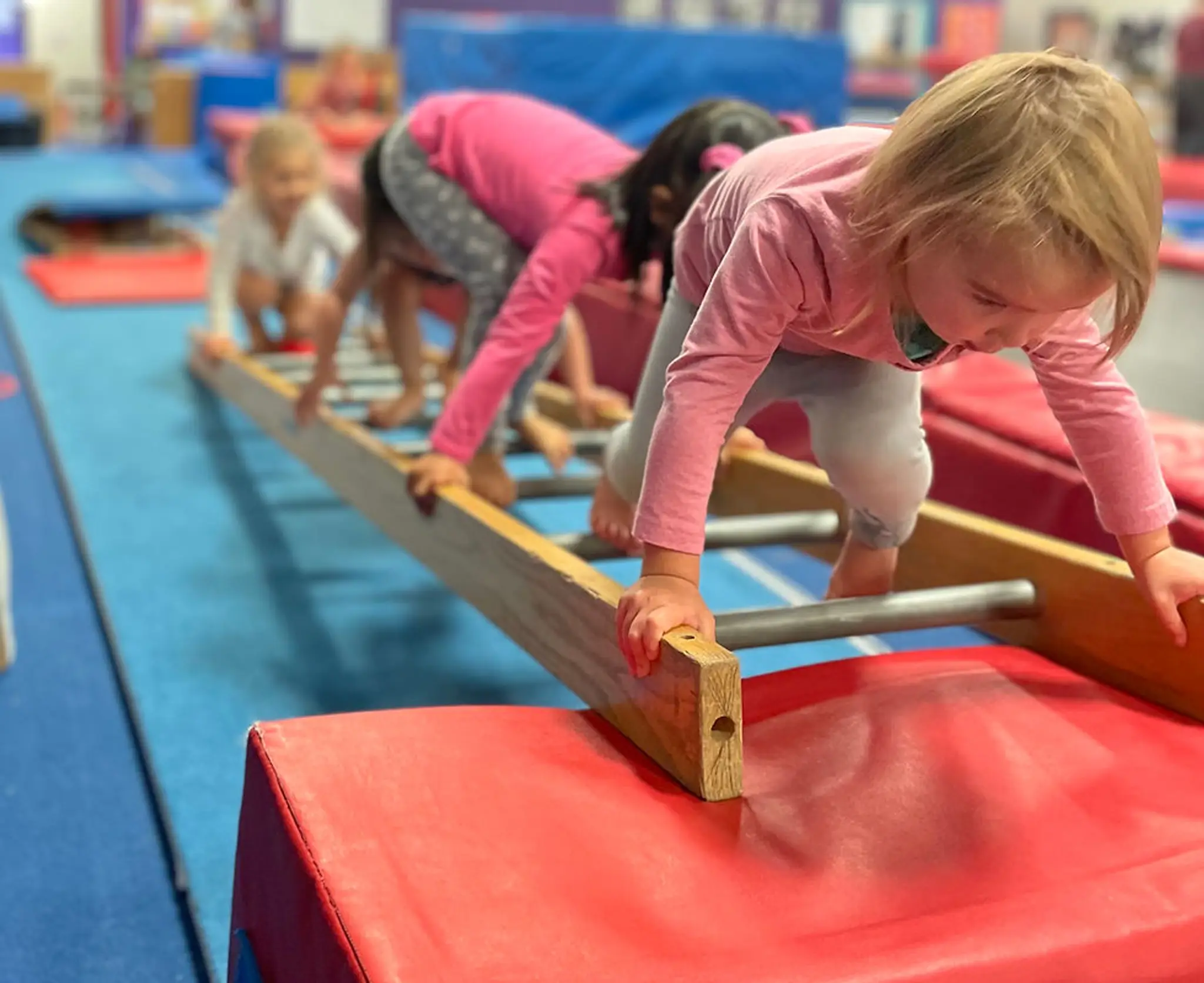 Polarettes Gymnastics Club