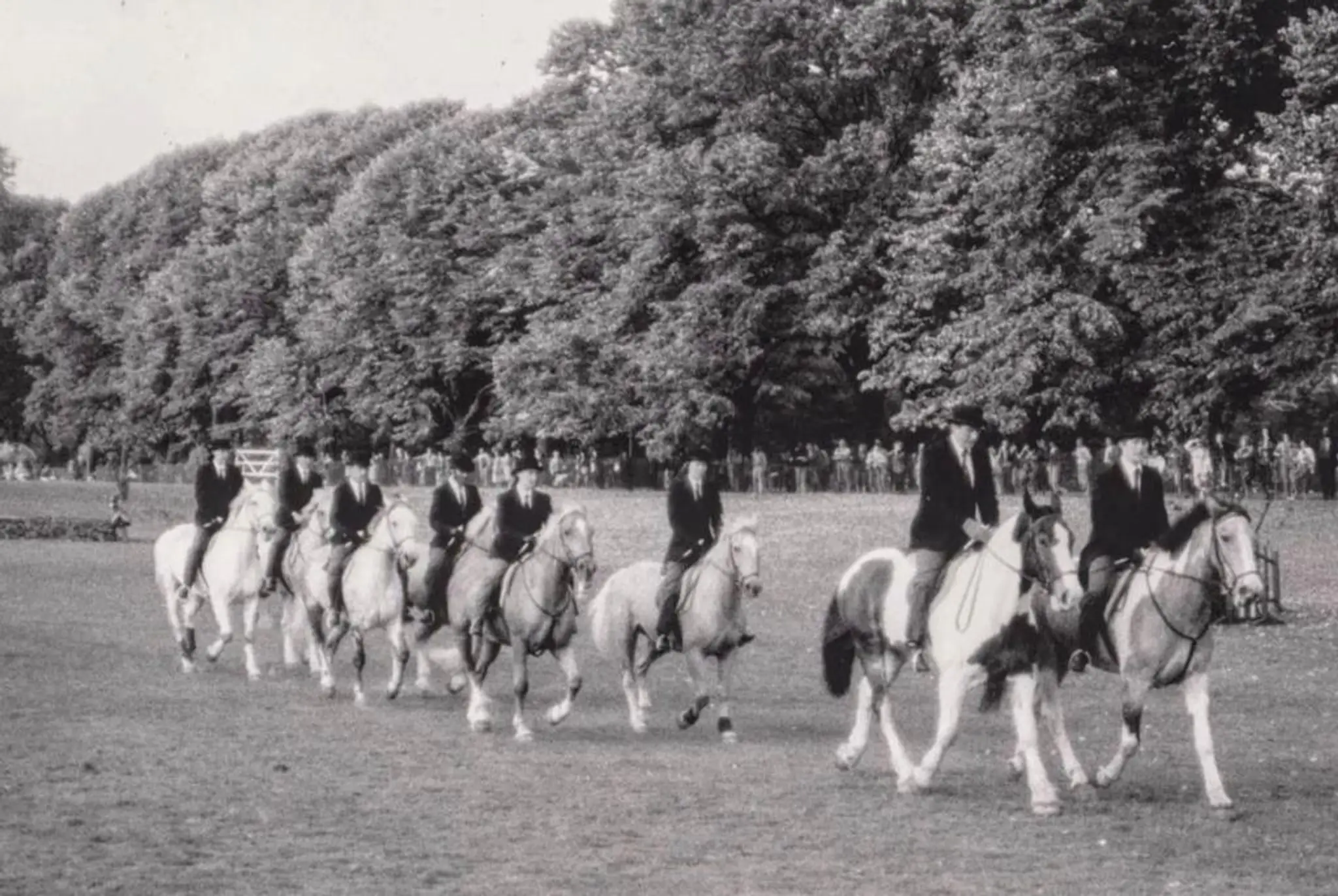 Civil Service Riding Club