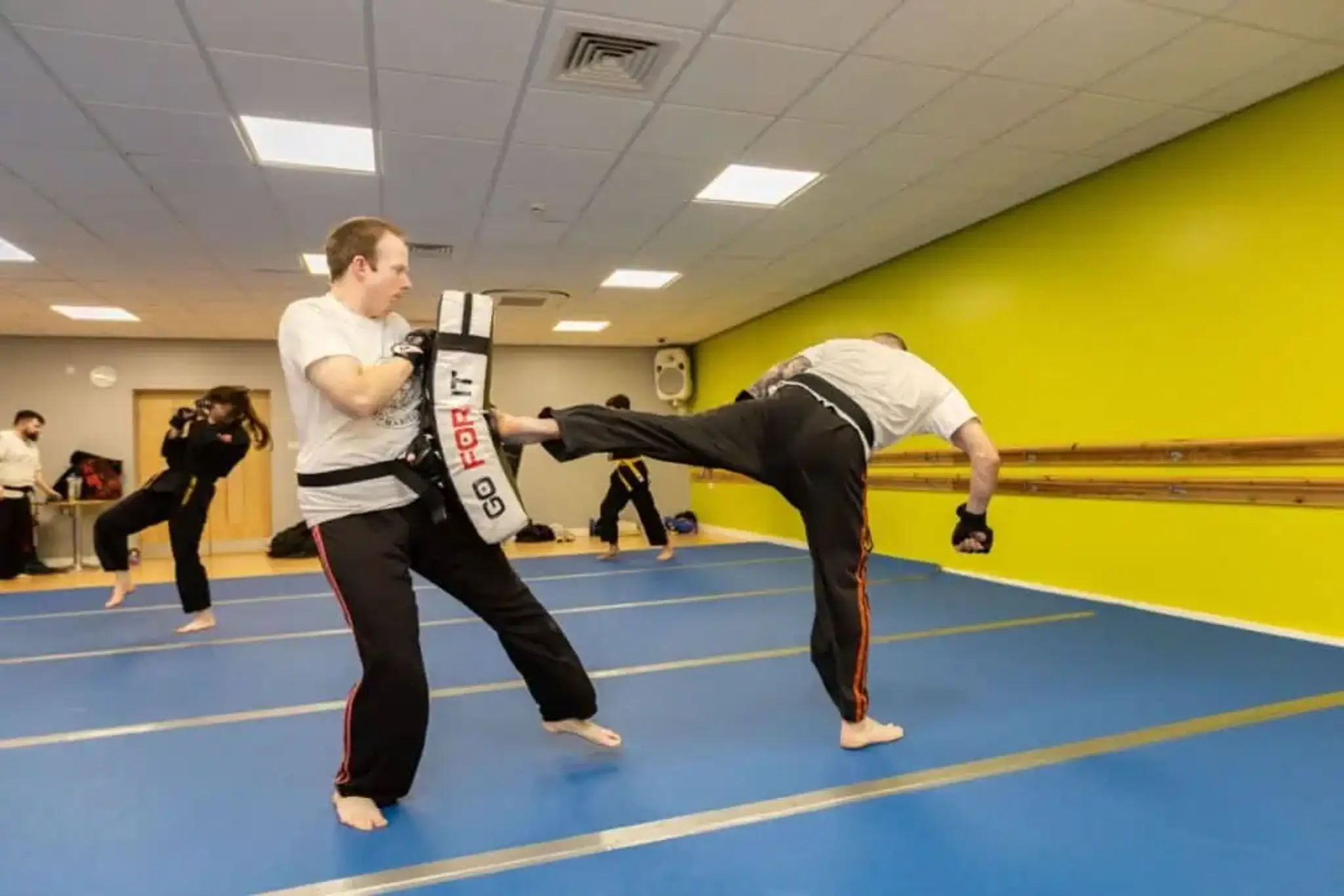 MARS Mixed Martial Arts (St Ives)