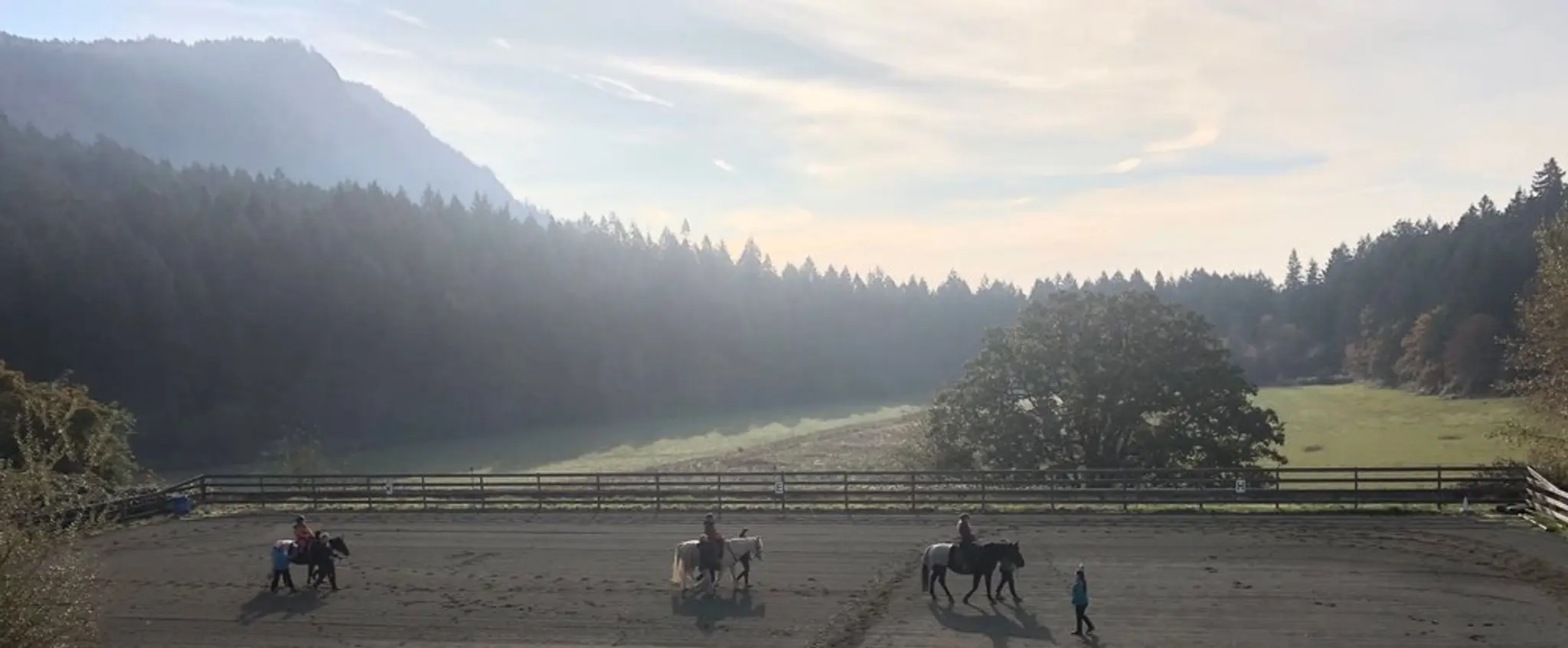 Cowichan Therapeutic Riding Association