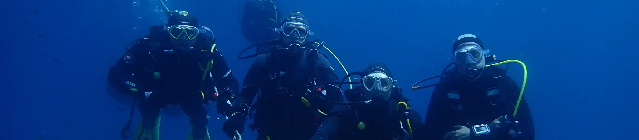 CSVN Narcosis