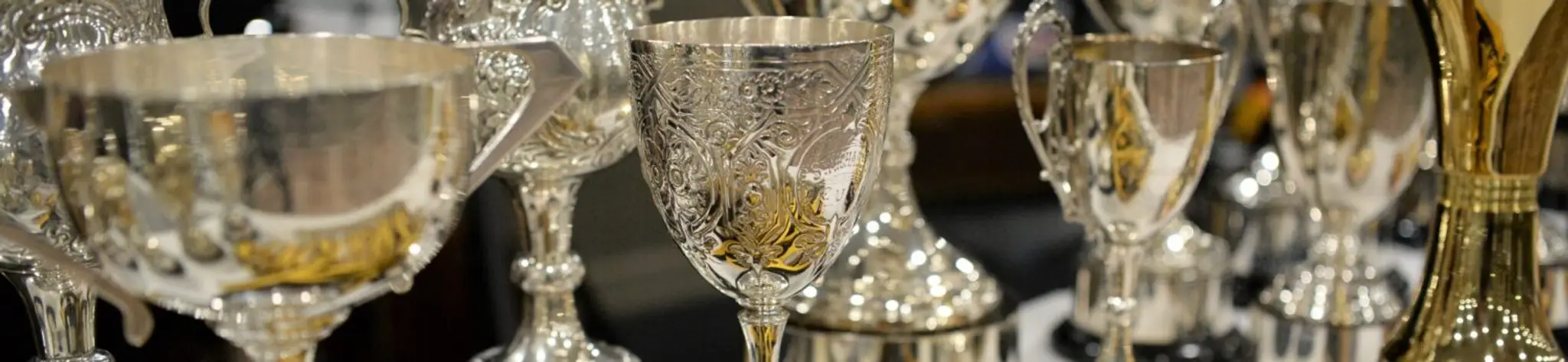 WARLEY WASPS SWIMMING CLUB