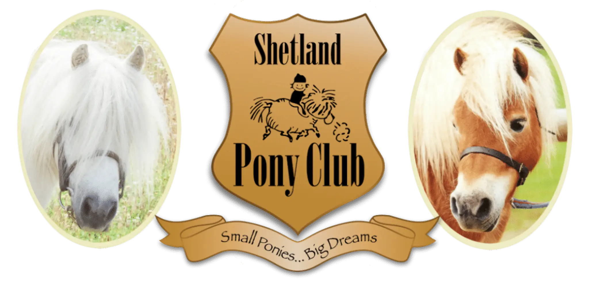 Shetland Pony Club