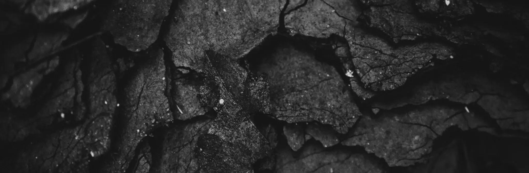 Mississauga Baan Muay Thai