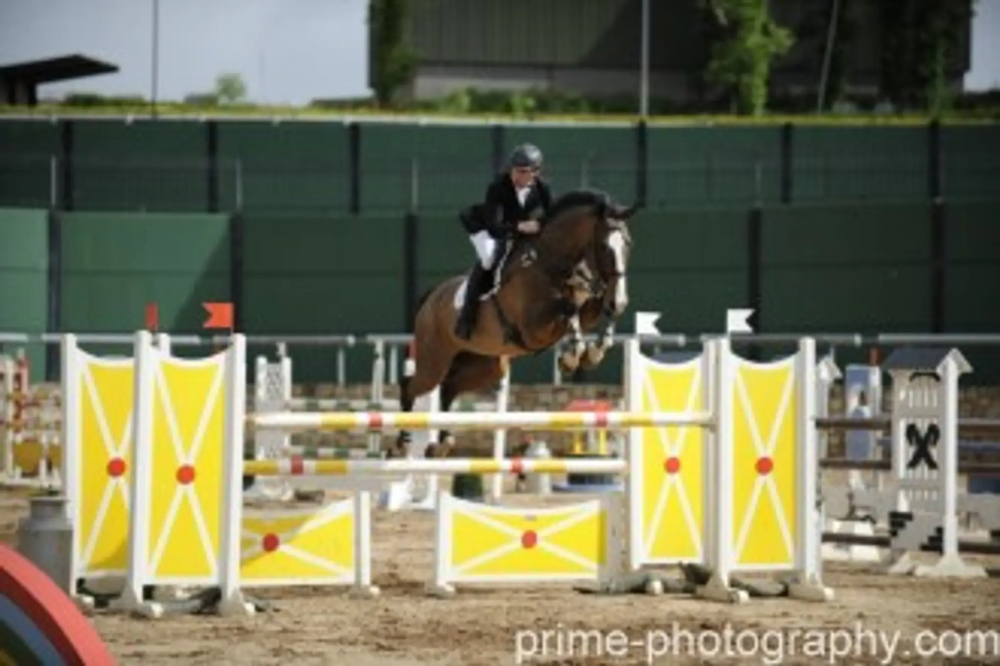 Ireland Horse Sport and Leisure